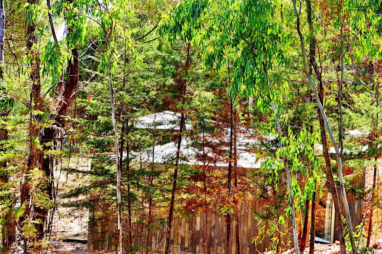 Herdade Clube Tiro Monfortinho Exteriér fotografie