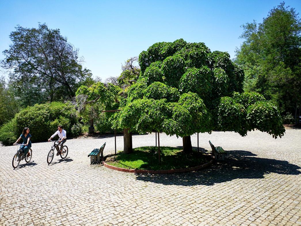 Herdade Clube Tiro Monfortinho Exteriér fotografie